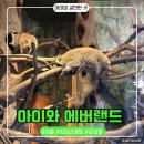 에버아이 | 여름 아이와 에버랜드 다녀온 후기 : 준비물 부터 동선 및 사파리 스마트줄서기 꿀팁