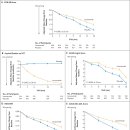 치매 치료제 레카네맙 2023년 NEJM 이미지