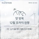 화이트 시즌 이미지