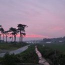 금마면 신촌마을회관 | 2025.6.24(화) 지약마을탐방(신촌, 내기, 신대, 대동마을)