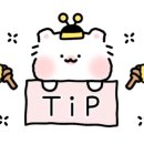 파스타입니다죽도점 이미지