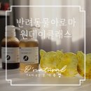 반려동물을 위한 천연아로마제품 원데이 클래스 이미지