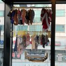 심쿵간식 | [수원 고양이 카페] 냥보고심쿵 방문 후기 🐾