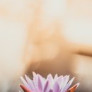 태극 무술관 이미지