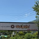 약선흑염소 대구팔공산점 | 여름철 보양식 추천 팔공산 흑염소 <약선흑염소> 내돈내먹 후기