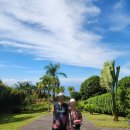 왕바위공원 | 가족여행 9박 11일/DAY4/도토루 커피농장, 매니니오왈리 비치, 칼라휘푸아아 공원, 마우나라니 카누하우스