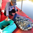 연곡낚시터 이미지