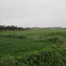 포항시남구8 이미지