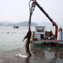 해남군-06 이미지