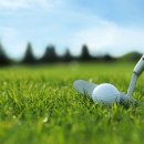 나이스골프 이미지