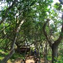 외연도어촌계 여관 이미지