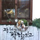 광주낙우영농조합법인 | 봄 여름 가을 겨울 커플 우정 가족 여행 등 국내 로컬여행 관광지 궁금하다면? 두레랑 서포터즈 1...