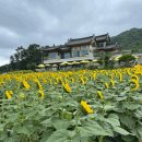 경주키즈플레이스 이미지