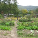 안산이농장 이미지