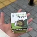 개멋지개 | 블로그 엄청 밀렸어요 각오해라