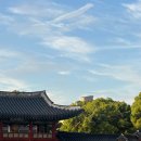 보성레미콘구내식당 | 2026.07.(Ⅱ)
