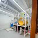 순화궁로 482 이미지