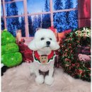 오늘도 예쁘개 이미지