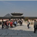 종로-종로-종로-종-117 이미지