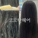 코모탄헤어 이미지