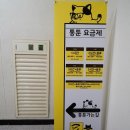 통툰 이미지