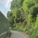 백암 2교 이미지