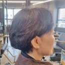 이경민포레 아산월천점 | 아산미용실 애쉬브라운 염색 후기 이경민포레 아산월천점