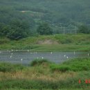 밀양현대주유소 이미지