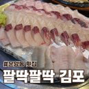팔딱팔딱회 | 운양동 횟집 팔딱팔딱 김포 숭어회 보리숭어 세트 솔직 후기