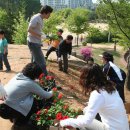 샛터공원 이미지