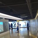 레이스 게임 | 제주 스포츠 테마파크' 981파크'에서 레이스 &amp; 서바이벌 게임 후기
