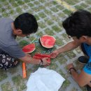 대동보건진료소 이미지