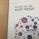 Audit 대응실무 이미지