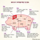 풍문고기집 이미지