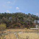 금광초등학교조령분교장 이미지