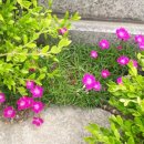 삼대경희한의원 이미지