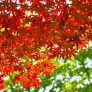 행운공인중개사 이미지