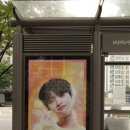 솔트마인 이미지