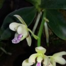 우리화원 이미지