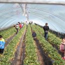 윤자농장 이미지