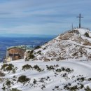 미라벨(MIRABELL) 이미지