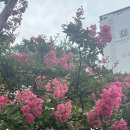[잠실 서울책보고 후기] 잠실나루 가볼만한곳📚 필사ㅣ독서공간 둘러보기