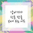 창문동물병원 이미지