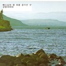 바다다 이미지