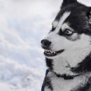 송림2길 이미지