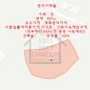 삼포보건진료소 네이버블로그