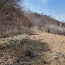 곡성농장 이미지