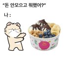 또또 요즘 근황🙌(스압주의)