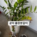 출장 이미지