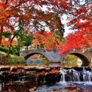 도안탑공인중개사사무소 이미지